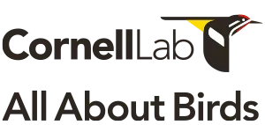 Cornell Lab All About Birds Logo