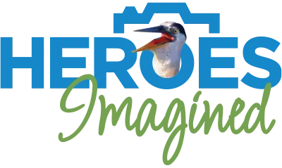 Heroes Imagined Logo