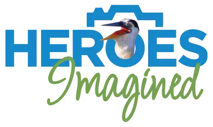 Heroes Imagined Logo