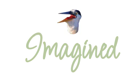 Heroes Imagined Logo