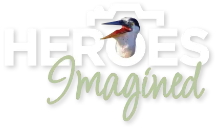 Heroes Imagined Logo