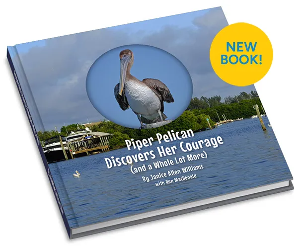 Piper Pelican Discovers Her Courage Book - NEW!