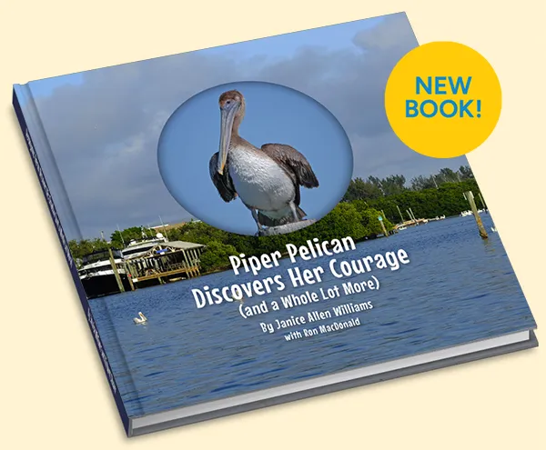 Piper Pelican Discovers Her Courage Children's Book - NEW!